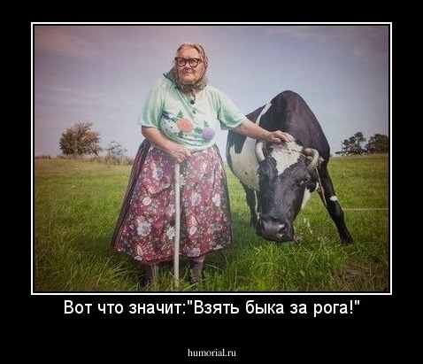 Вот что значит:"Взять быка за рога!"