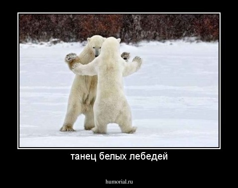 танец белых лебедей