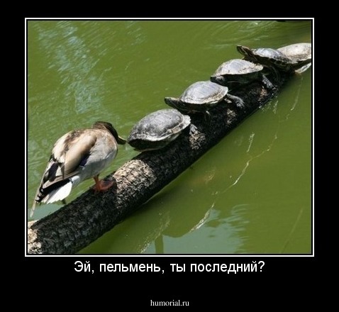 Эй, пельмень, ты последний?