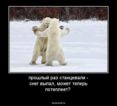 прошлый раз станцевали - снег выпал, может теперь потеплеет?