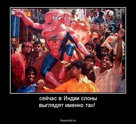 сейчас в Индии слоны выглядят именно так!