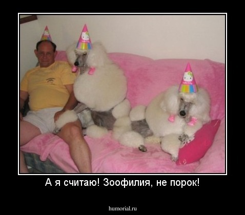 А я считаю! Зоофилия, не порок!