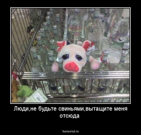 Люди,не будьте свиньями,вытащите меня отсюда
