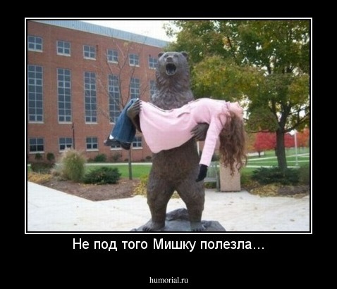 Не под того Мишку полезла...