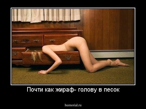 Почти как жираф- голову в песок