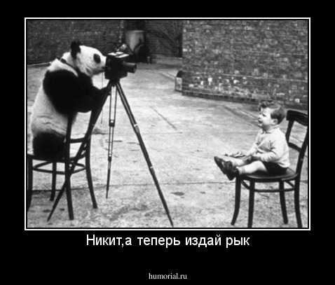 Никит,а теперь издай рык