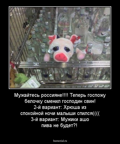 Мужайтесь россияне!!!! Теперь госпожу белочку сменил господин свин!
  2-й вариант:
Хрюша из спокойной ночи малыши спился((((
   3-й вариант:
Мужики ашо пива не будет?!