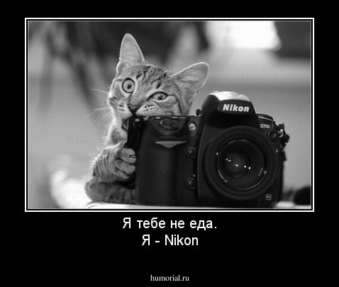 Я тебе не еда.
Я - Nikon
