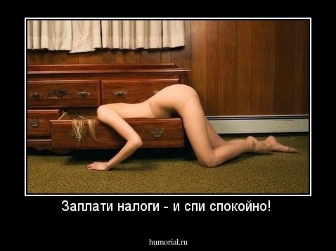 Заплати налоги - и спи спокойно! 