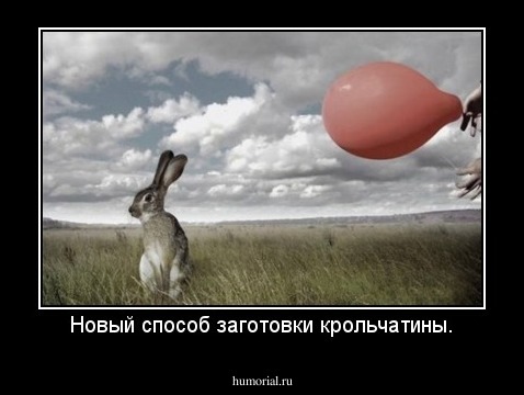 Новый способ заготовки крольчатины.