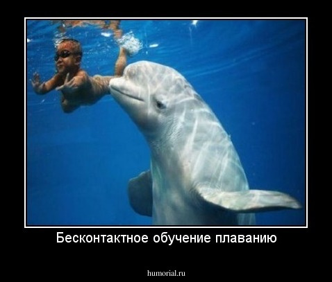 Бесконтактное обучение плаванию