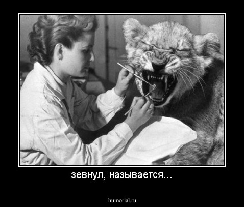 зевнул, называется...