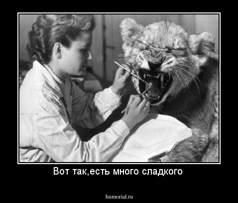 Вот так,есть много сладкого 