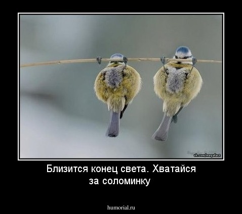 Близится конец света.  Хватайся за соломинку