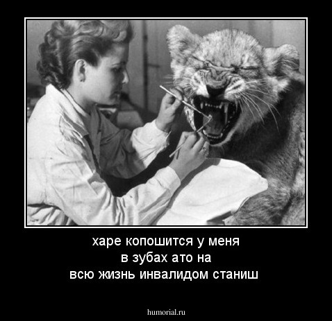 харе копошится у меня в зубах ато на всю жизнь инвалидом станиш