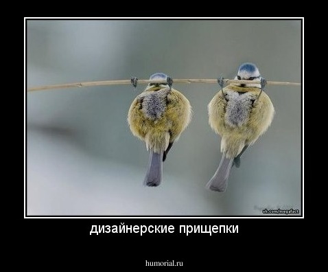 дизайнерские прищепки