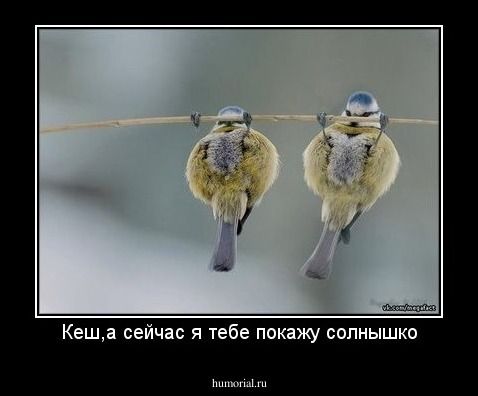 Кеш,а сейчас я тебе покажу солнышко