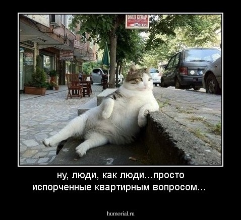 ну, люди, как люди...просто испорченные квартирным вопросом...
