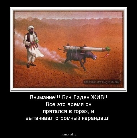 Внимание!!!
Бин Ладен ЖИВ!!
Все это время он прятался в горах, и вытачивал огромный карандаш!