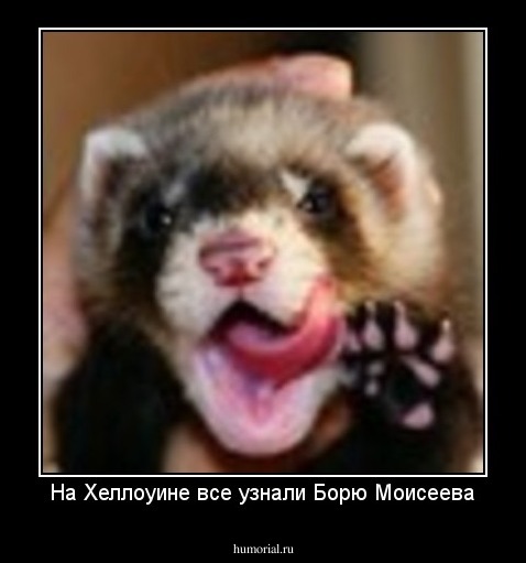 На Хеллоуине все узнали Борю Моисеева