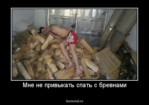 Мне не привыкать спать с бревнами