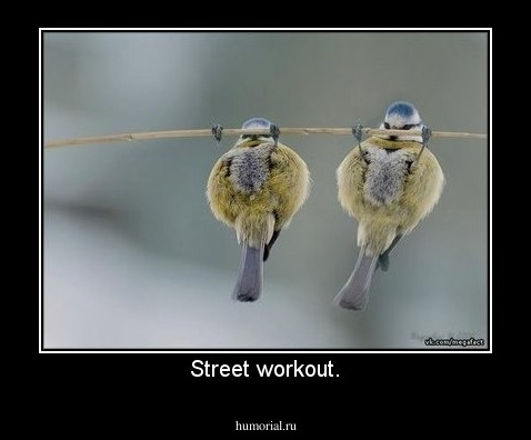 Street workout.
