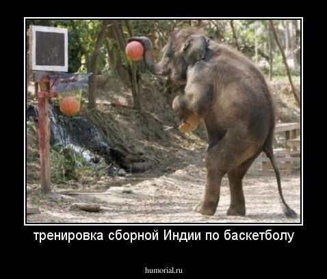 тренировка сборной Индии по баскетболу