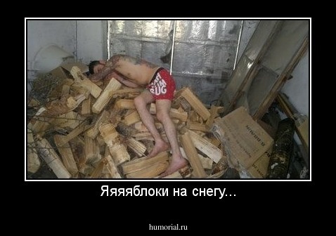 Яяяяблоки на снегу...