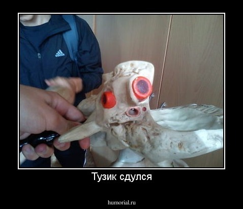 Тузик сдулся
