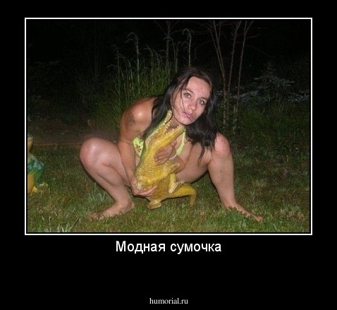 Модная сумочка

