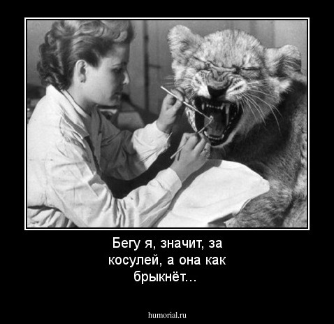 Бегу я, значит, за косулей, а она как брыкнёт...