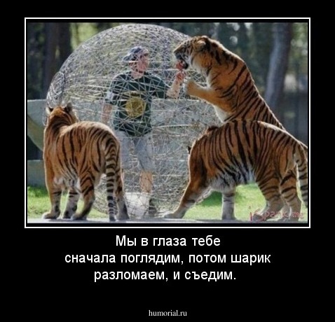 Мы в глаза тебе сначала поглядим, потом шарик разломаем, и съедим.