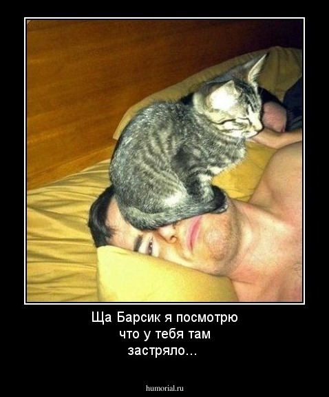 Ща Барсик я посмотрю что у тебя там застряло...
