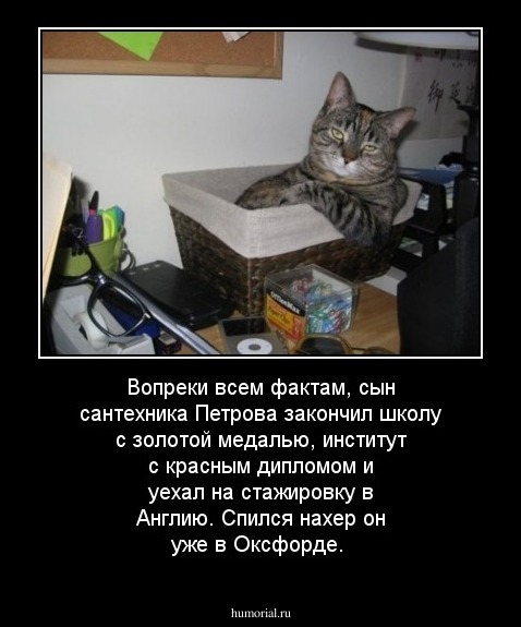Вопреки всем фактам, сын сантехника Петрова закончил школу с золотой медалью, институт с красным дипломом и уехал на стажировку в Англию. Спился нахер он уже в Оксфорде.