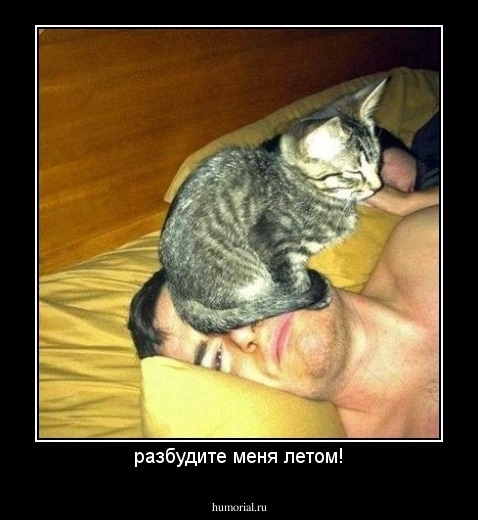 разбудите меня летом!