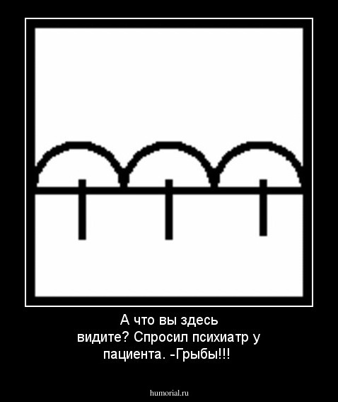 А что вы здесь видите?
Спросил психиатр у пациента.
-Грыбы!!!