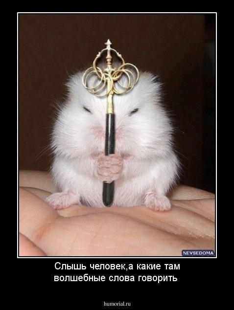 Слышь человек,а какие там волшебные слова говорить