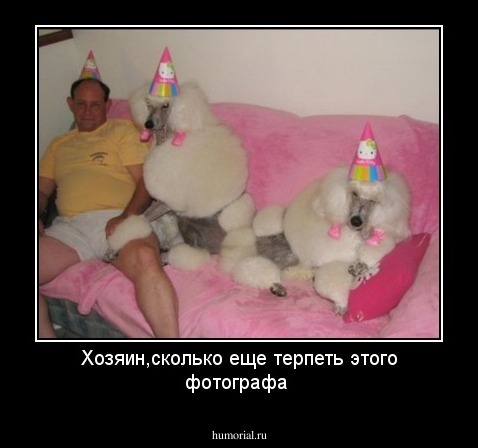 Хозяин,сколько еще терпеть этого фотографа