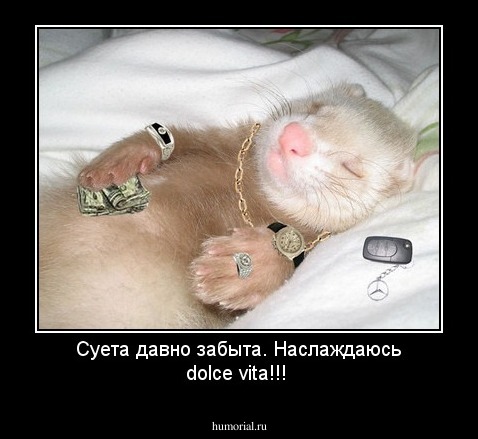 Суета давно забыта.
Наслаждаюсь dolce vita!!!