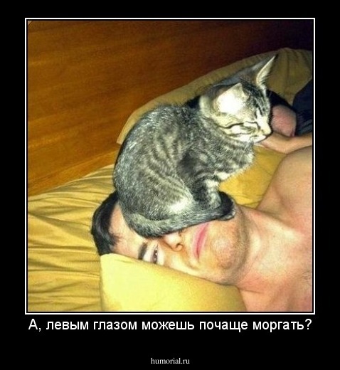 А, левым глазом можешь почаще моргать?