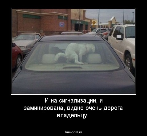 И на сигнализации, и заминирована, видно очень дорога владельцу.