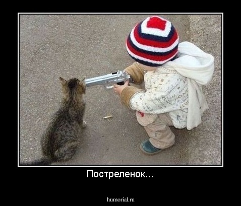 Постреленок...