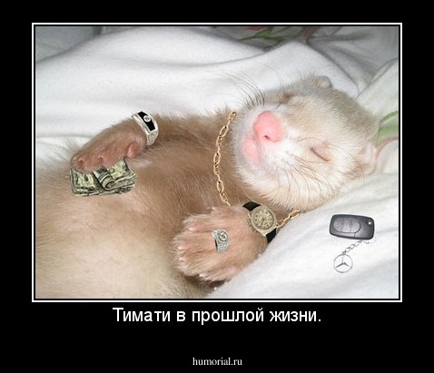 Тимати в прошлой жизни.