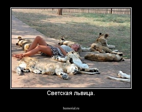 Светская львица.