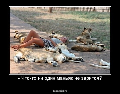 - Что-то ни один маньяк не зарится?