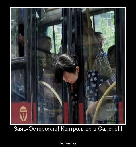 Заяц-Осторожно!.Контроллер в Салоне!!!