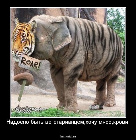 Надоело быть вегетарианцем,хочу мясо,крови