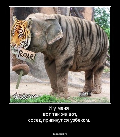 И у меня , вот так же вот, сосед прикинулся узбеком.