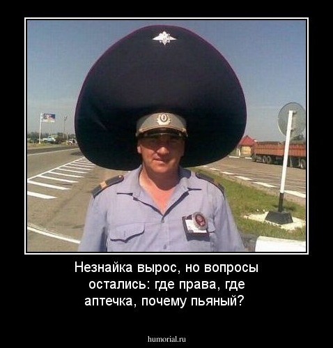 Незнайка вырос, но вопросы остались: где права, где аптечка, почему пьяный? 