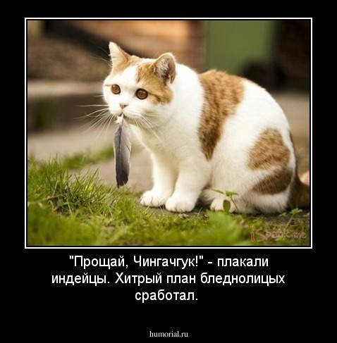 "Прощай, Чингачгук!" - плакали индейцы. Хитрый план бледнолицых сработал. 